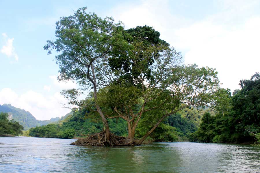 ba be- ban gioc waterfall tour 3days 2nights