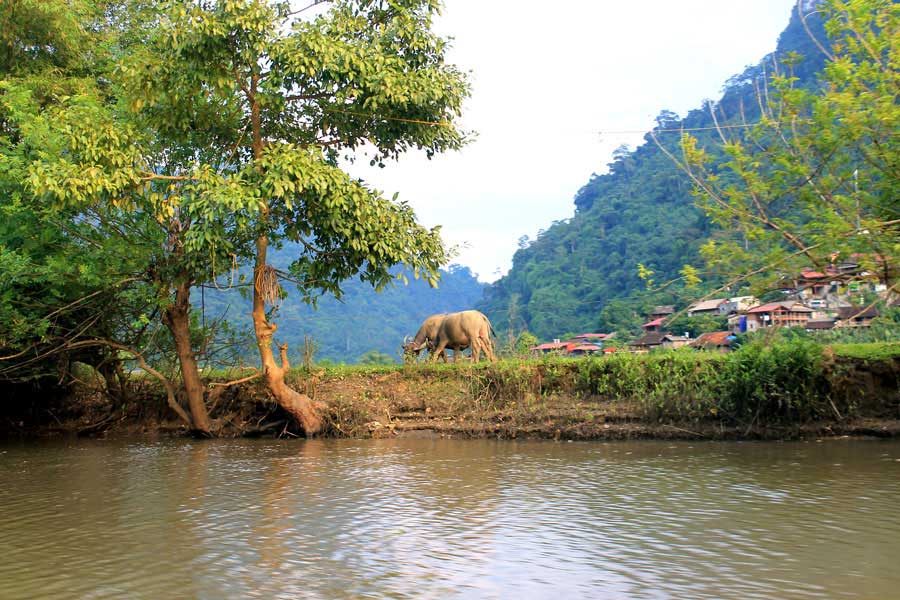 ba be- ban gioc waterfall tour 3days 2nights