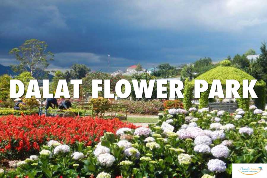 da lat tour from Ho chi minh city