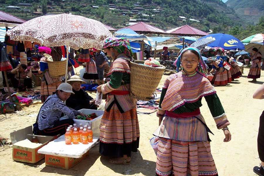 cheap tour to sapa from hanoi