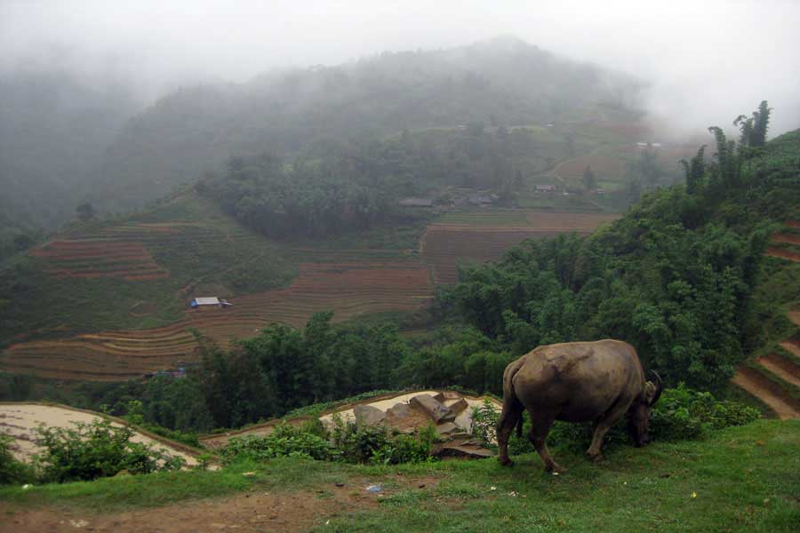 cheap tour to sapa from hanoi