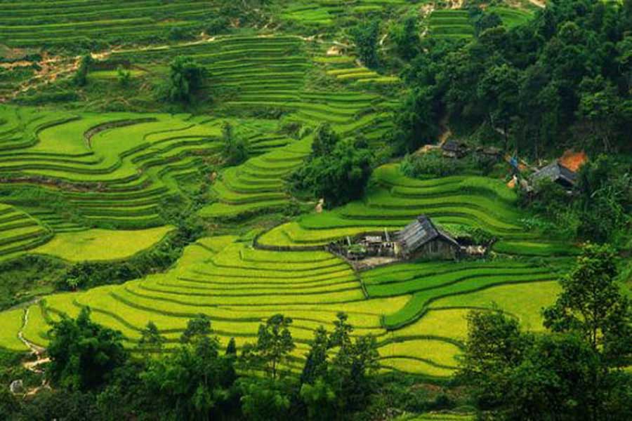 cheap tour to sapa from hanoi