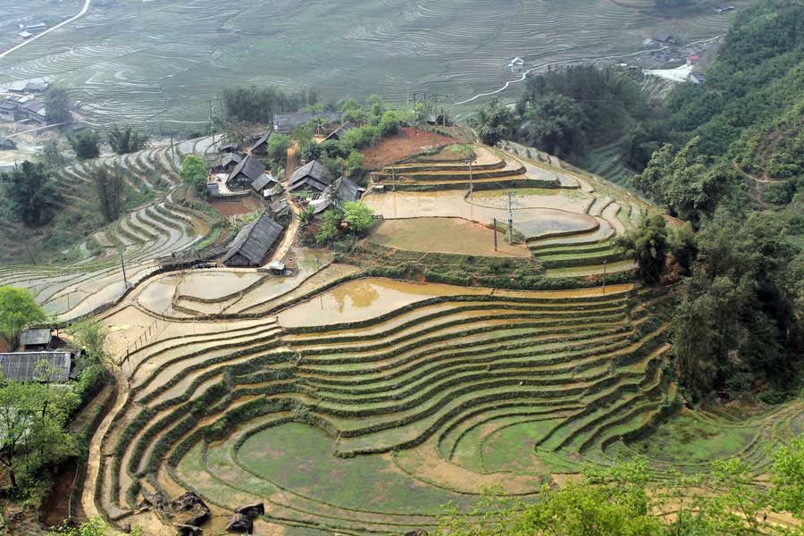 cheap tour to sapa from hanoi