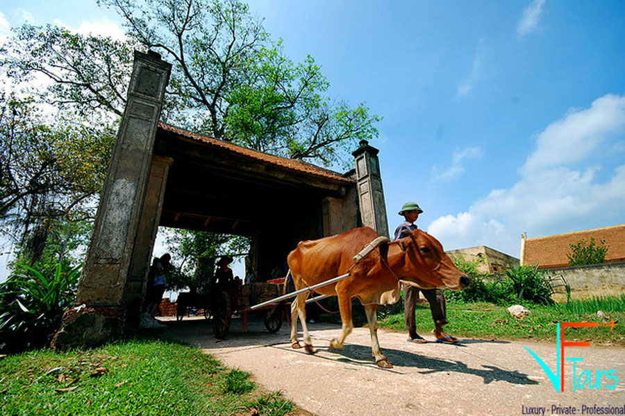 main gate in duong lam