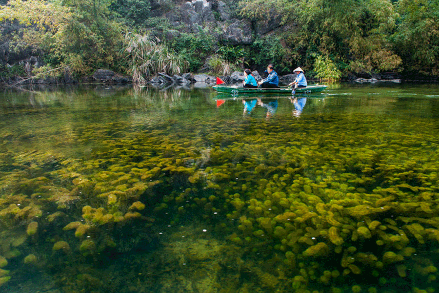 hoa lu tour from Hanoi