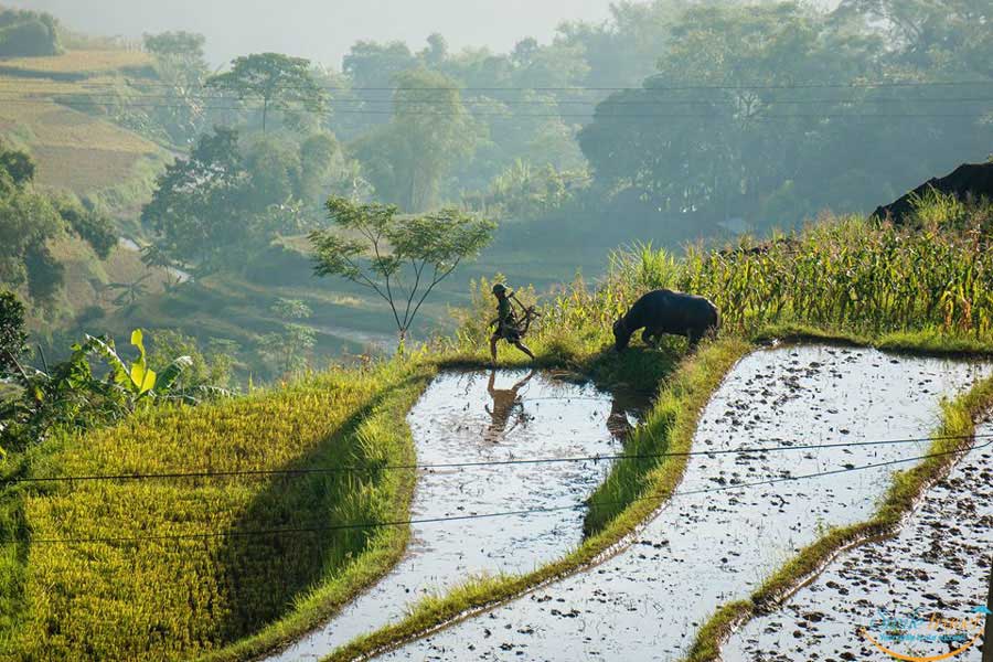 pu luong retreat tour from Hanoi