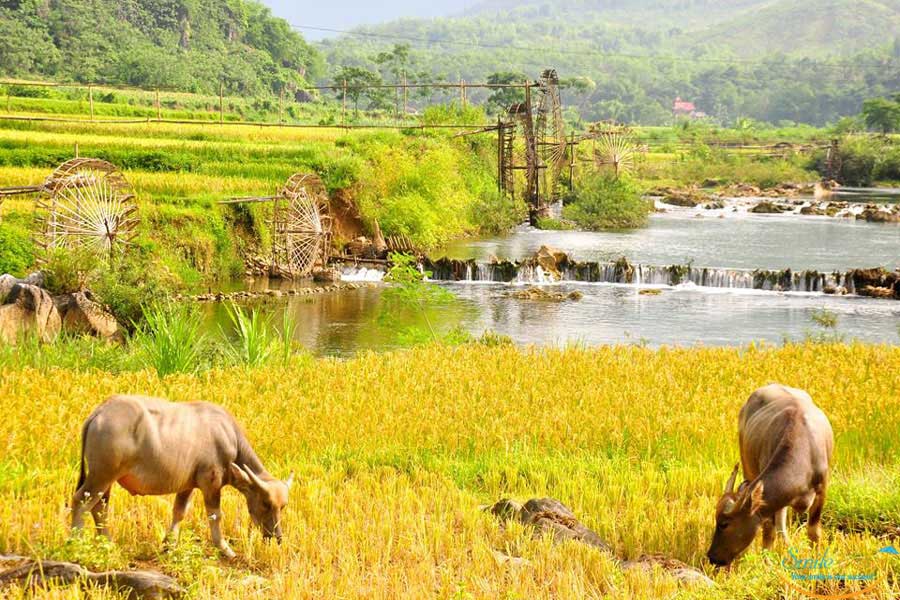 pu luong retreat tour from Hanoi