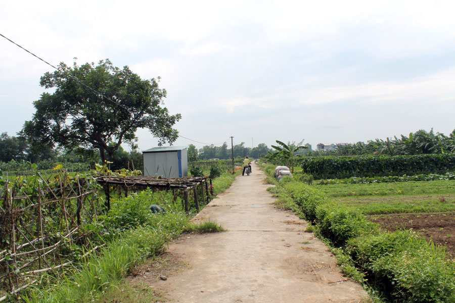 Bicycle Tour Hanoi Countryside full day