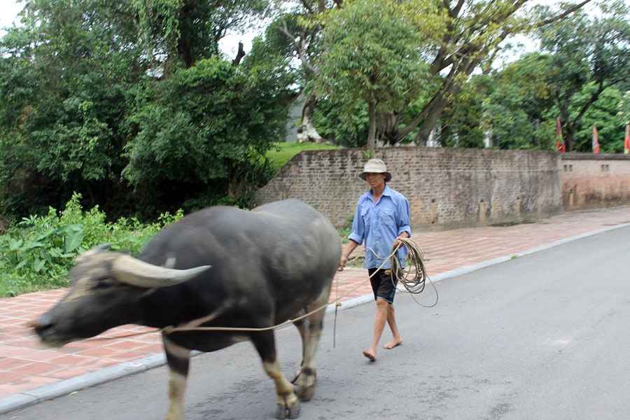 Bicycle Tour Hanoi Countryside full day