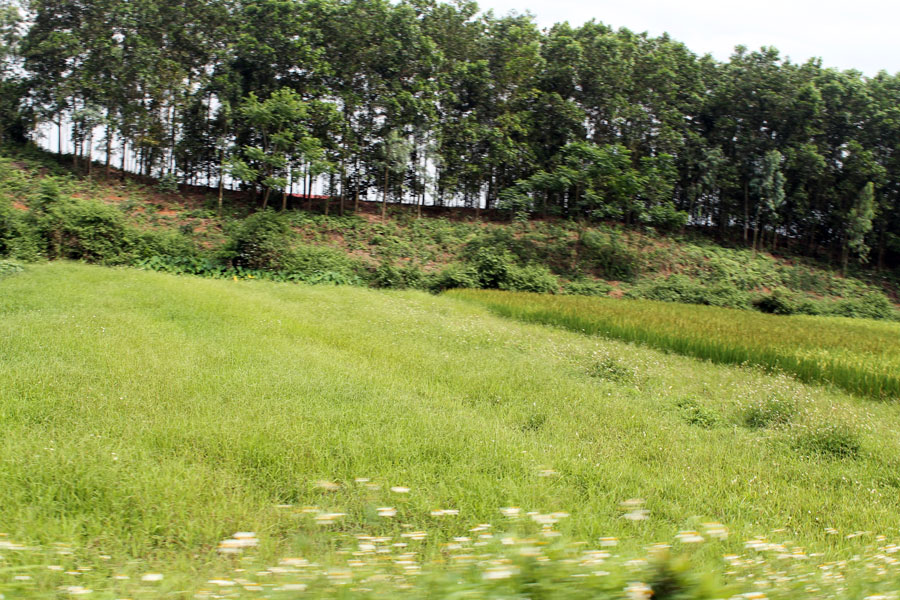 Bicycle Tour Hanoi Countryside full day