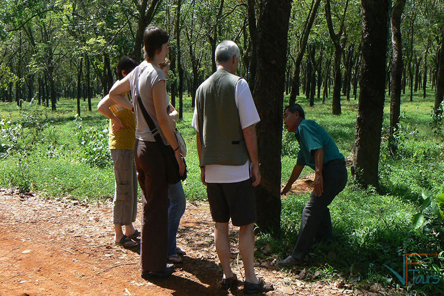 WILD ADVENTURE - NAM CAT TIEN FULL DAY TOUR-smiletravel