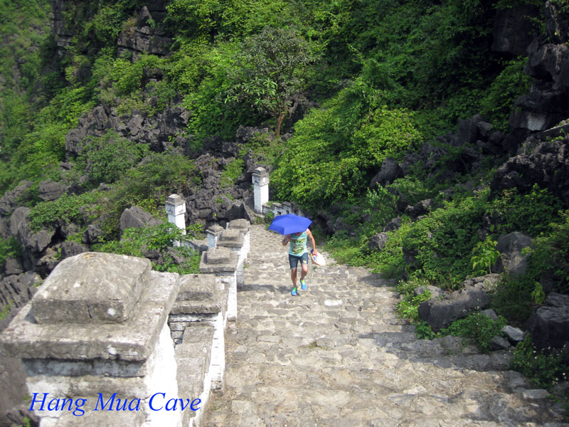 HOA LU ANCIENT CAPITAL-TRANG AN GROTTOS-BICH DONG PAGODA - MUA CAVE 02 DAYS 01 NIGHT (Daily Departure)