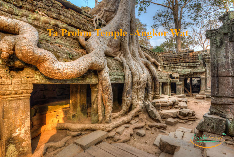 temple of Ta Prohm
