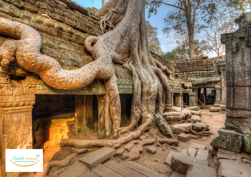 temple of Ta Prohm