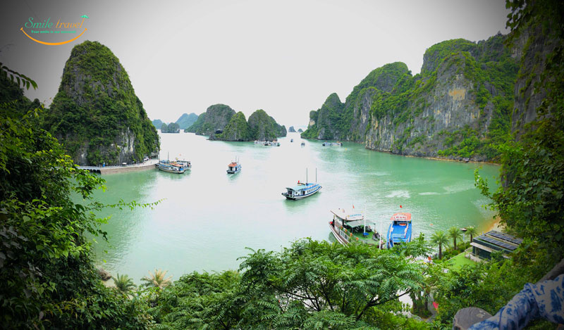 Tour in Vietnam 5 days 4 nights, Tour in Vietnam 6 days 5 nights, Tour in Vietnam 7 days 6 nights, Tour in Vietnam